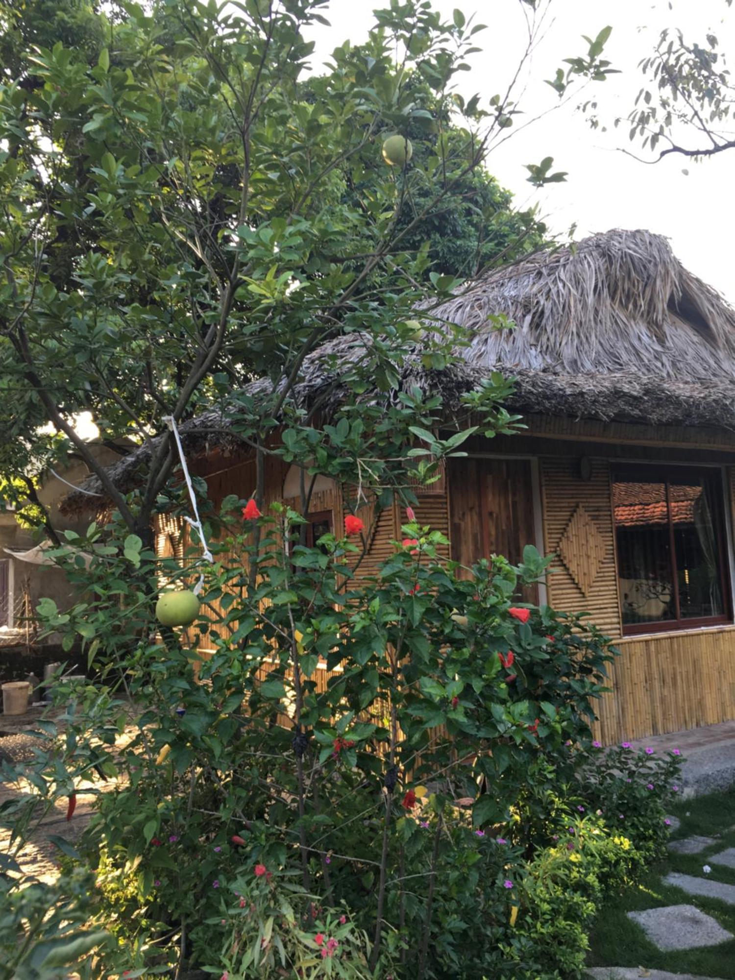 Tam Coc Palm House Villa Нин Бин Екстериор снимка